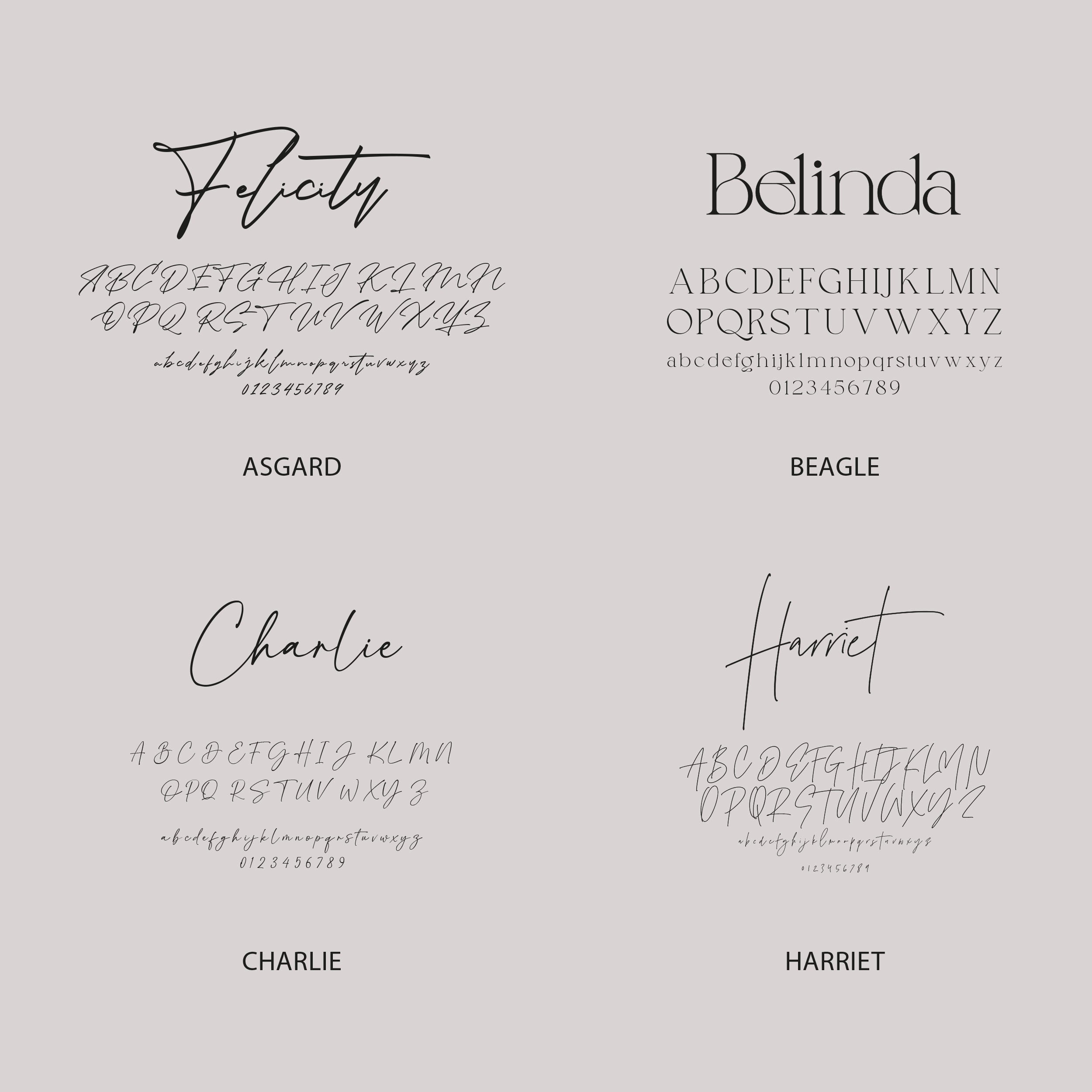 Flick Acrylic Bridal Shower Wedding Welcome Sign